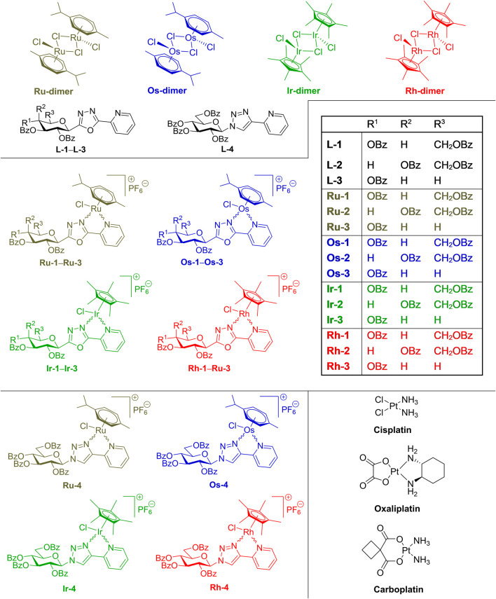 FIGURE 2