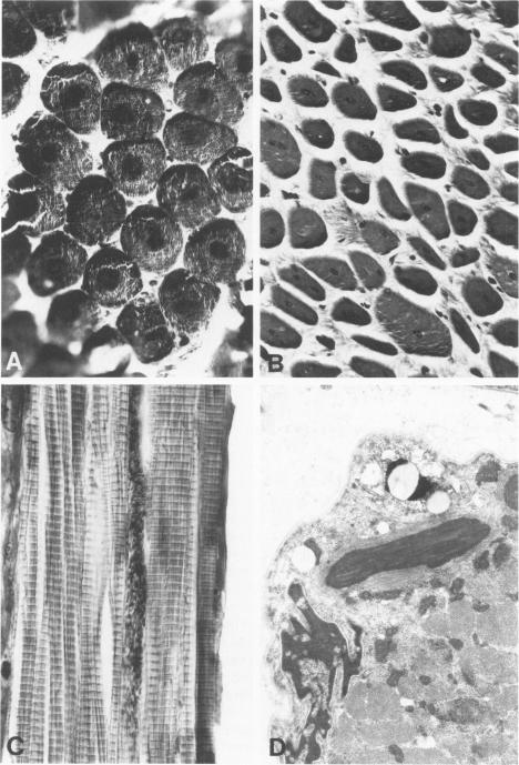 Figure 25