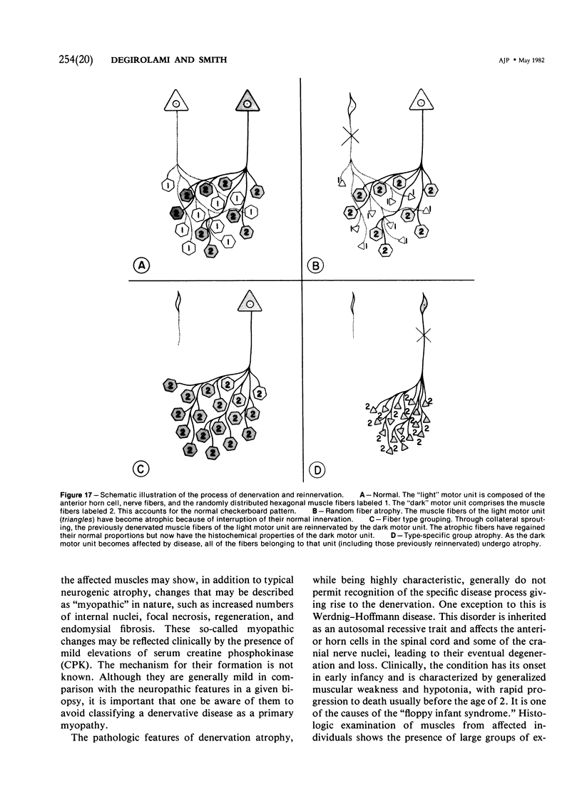 254(20)