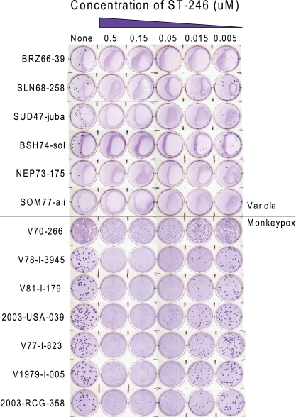 FIG. 2.