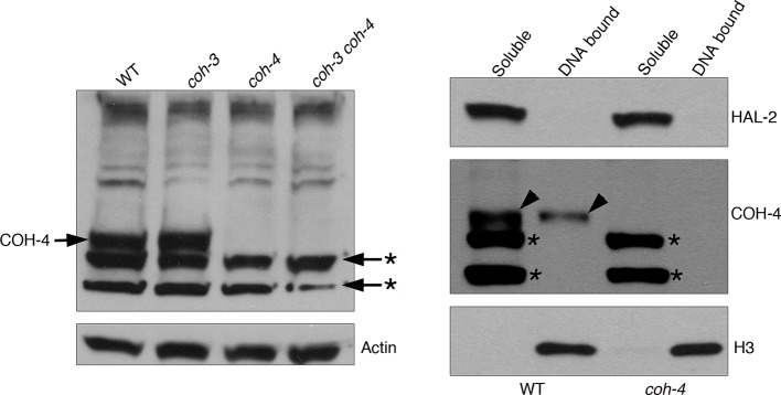 Figure 5—figure supplement 5.