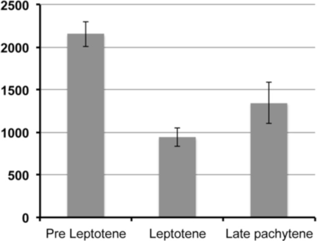 Figure 1—figure supplement 1.