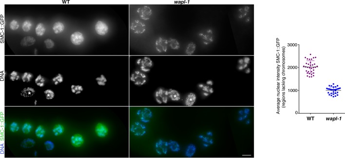 Figure 4—figure supplement 5.