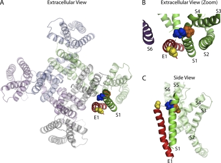 Figure 7.