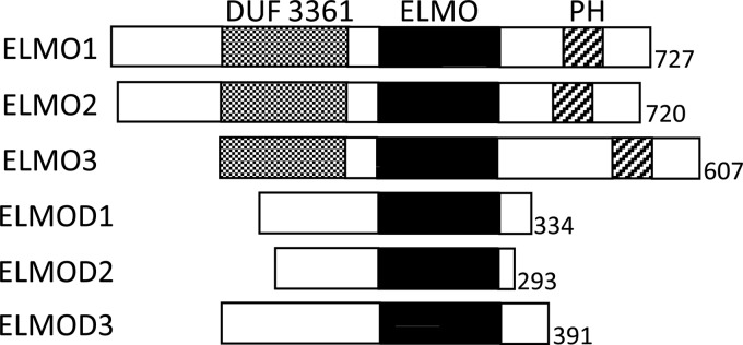 FIGURE 1.