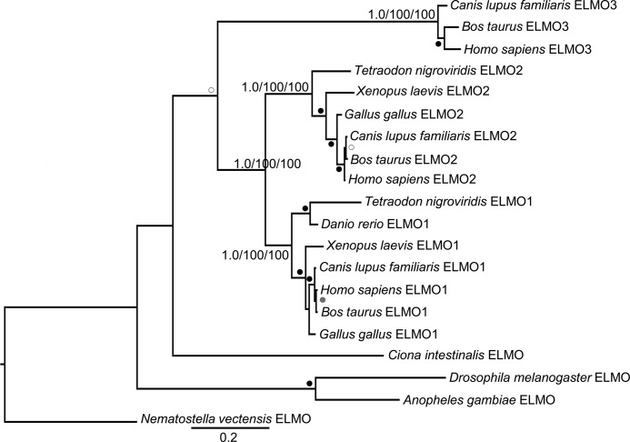 FIGURE 3.