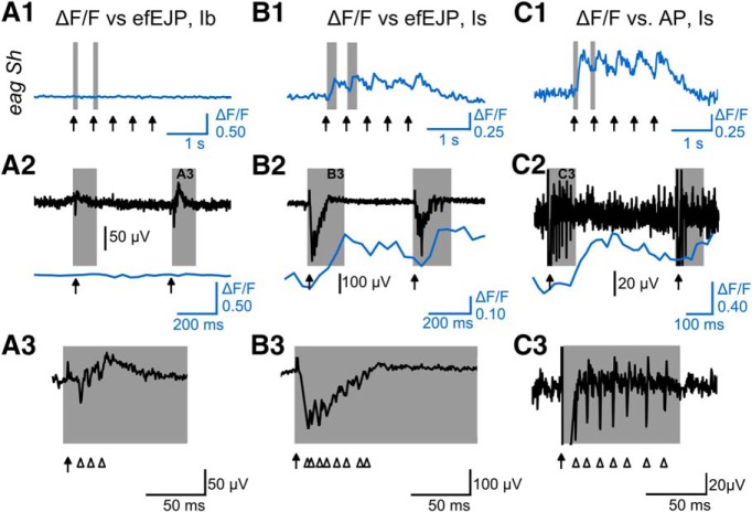 Figure 9.