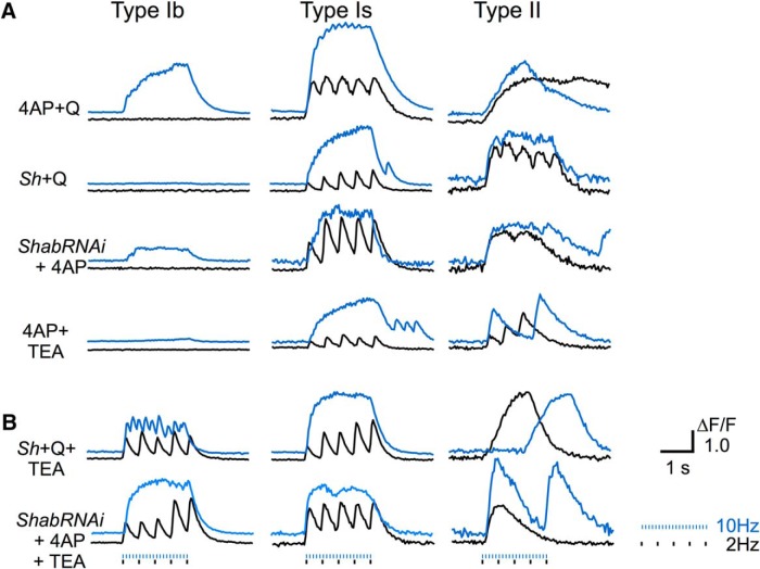 Figure 6.