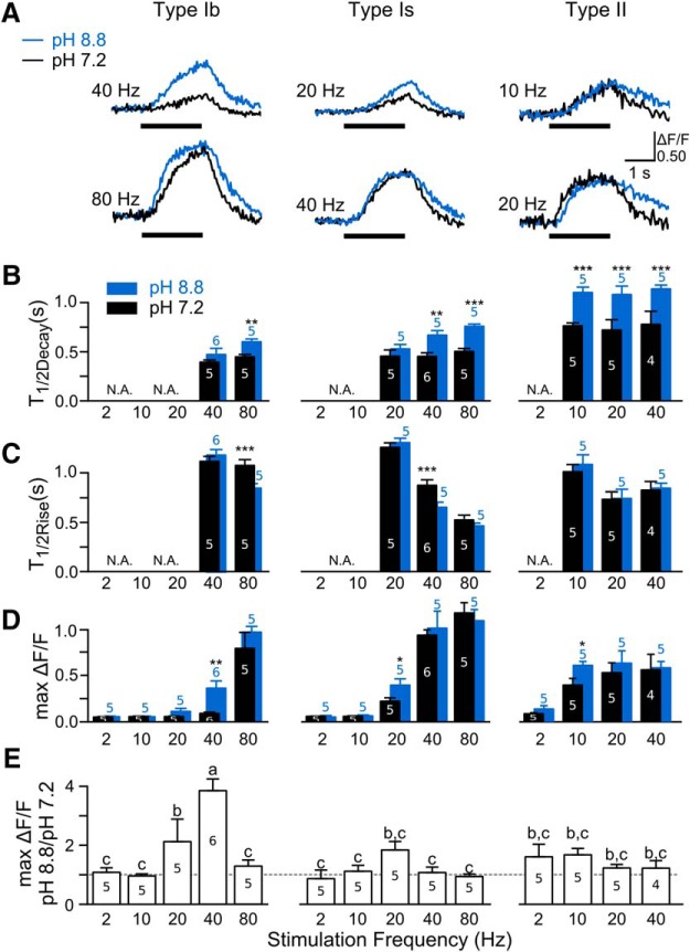 Figure 13.