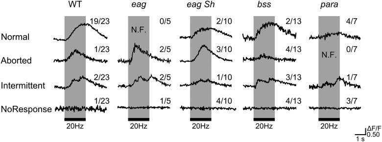 Figure 11.