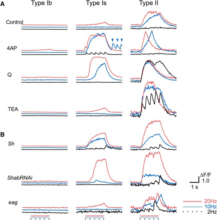 Figure 5.