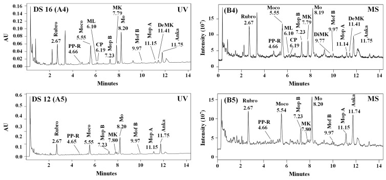 Figure 5