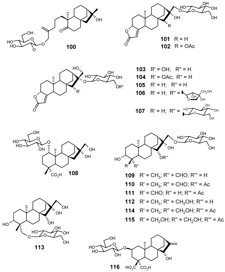 Figure 21