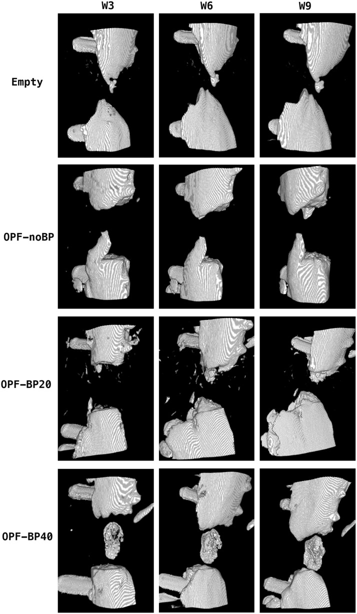 FIG. 3.