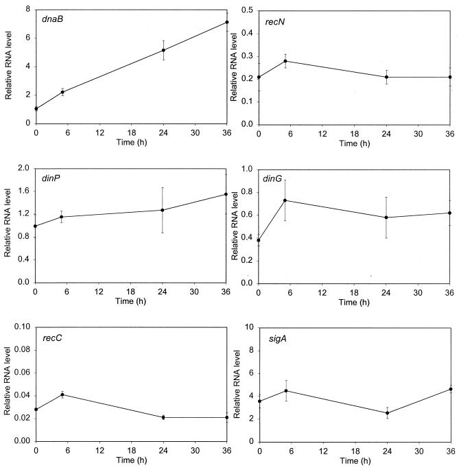 FIG. 1