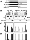 FIG. 6.