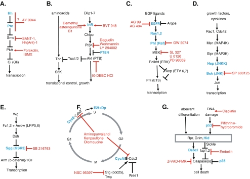 Fig. 1