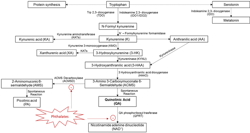 Fig 1: