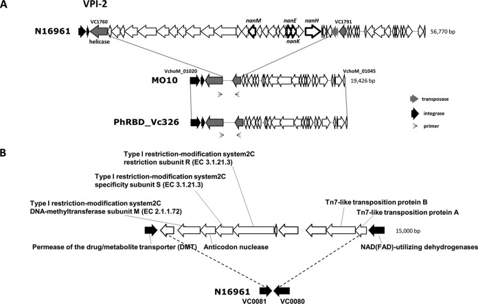 FIG 2 