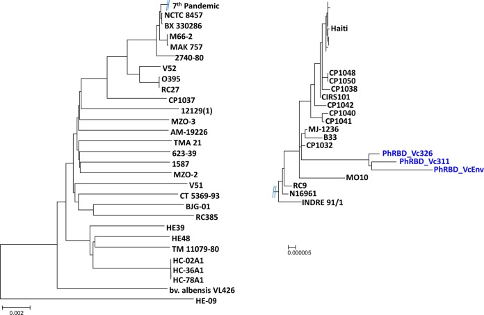 FIG 3 