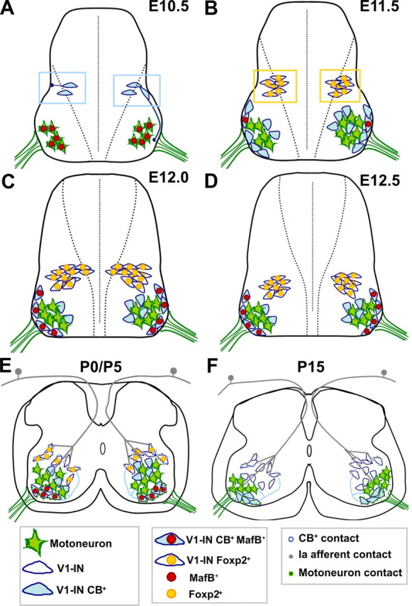 Figure 7.