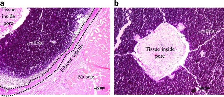 FIG. 9.