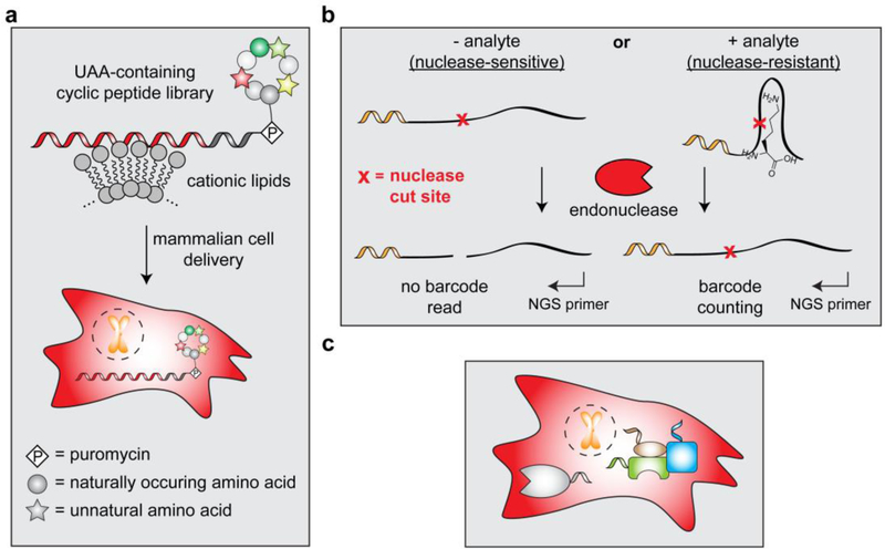 Figure 12.