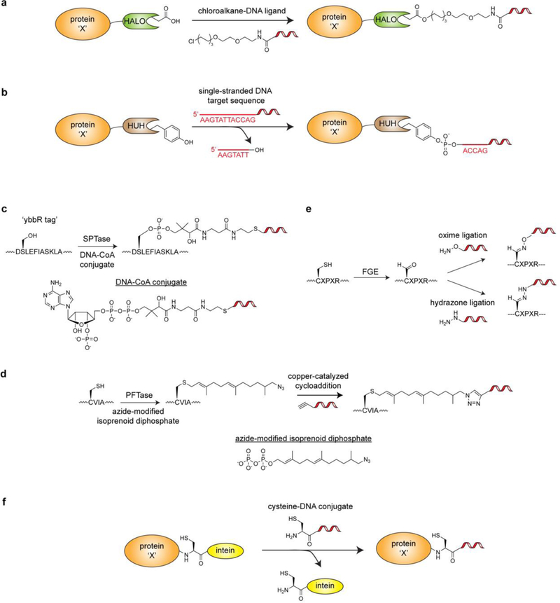 Figure 11.