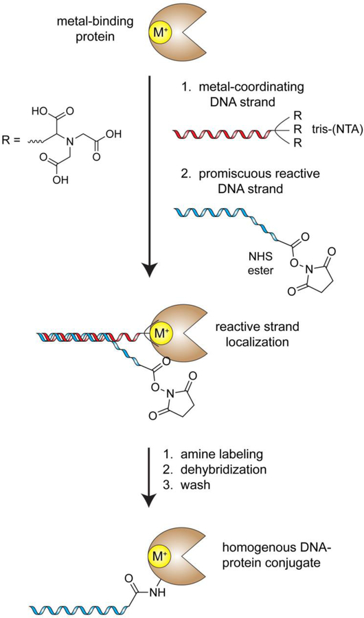 Figure 10.