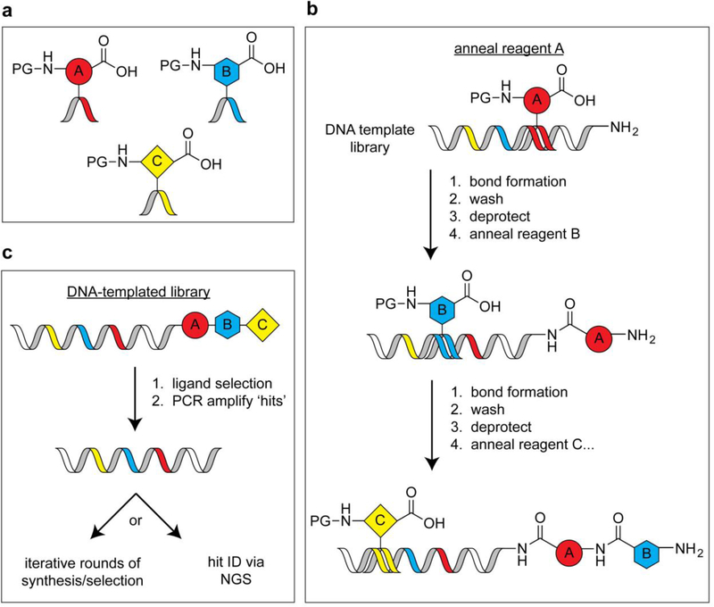 Figure 3.