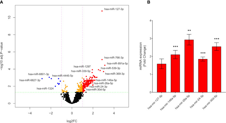 Figure 2