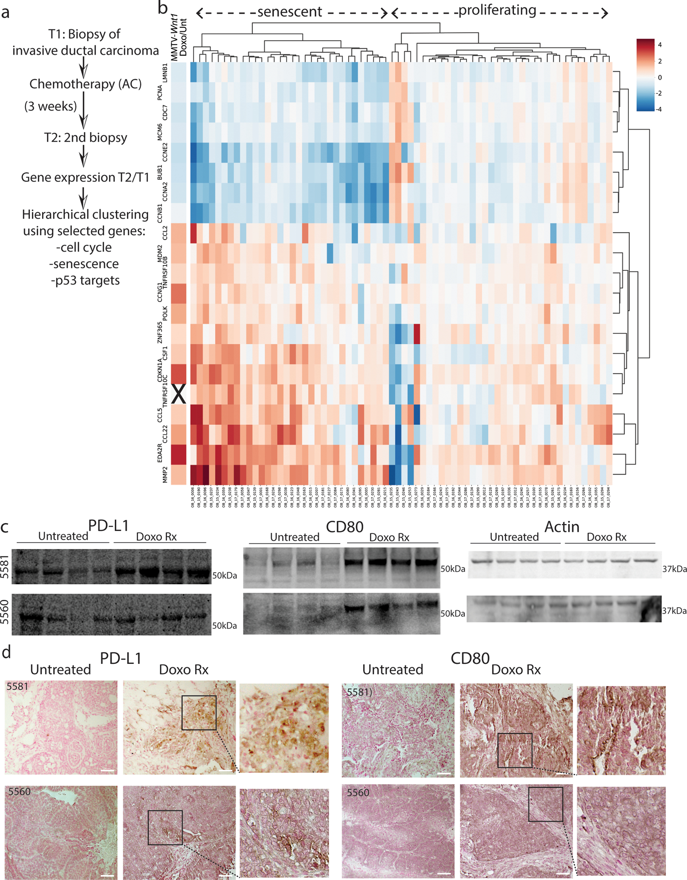 Extended Data Fig. 1