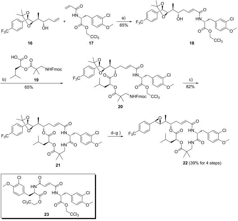 Scheme 2