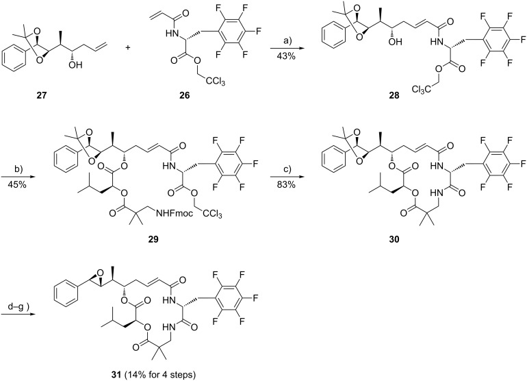 Scheme 4