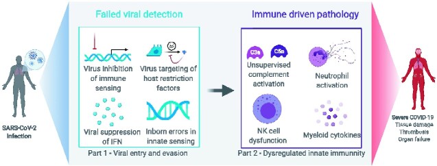 Graphical Abstract