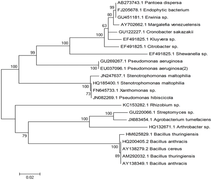 Figure 2