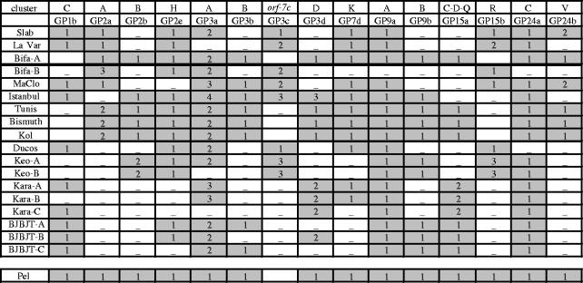 graphic file with name rspb20053336if02.jpg