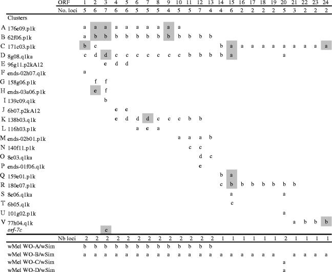 graphic file with name rspb20053336if01.jpg