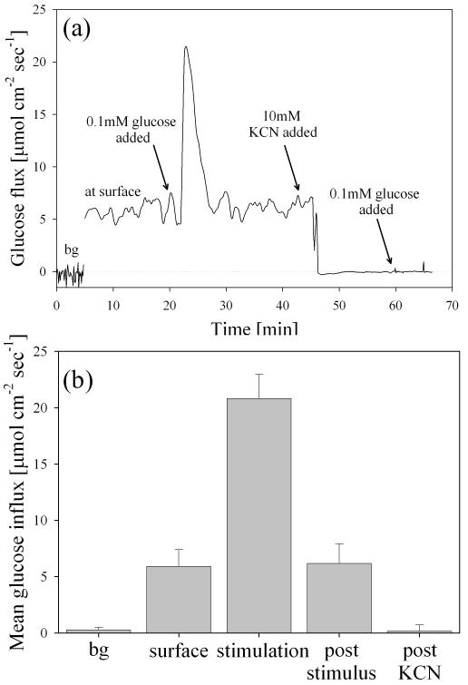 Fig. 6