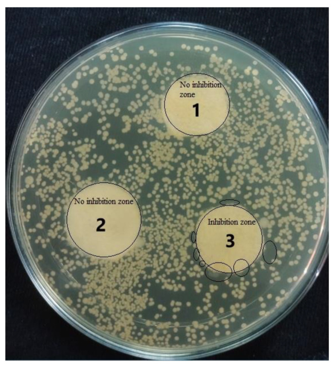 Figure 11