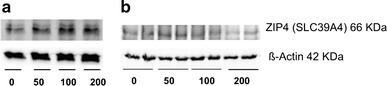 Fig. 5