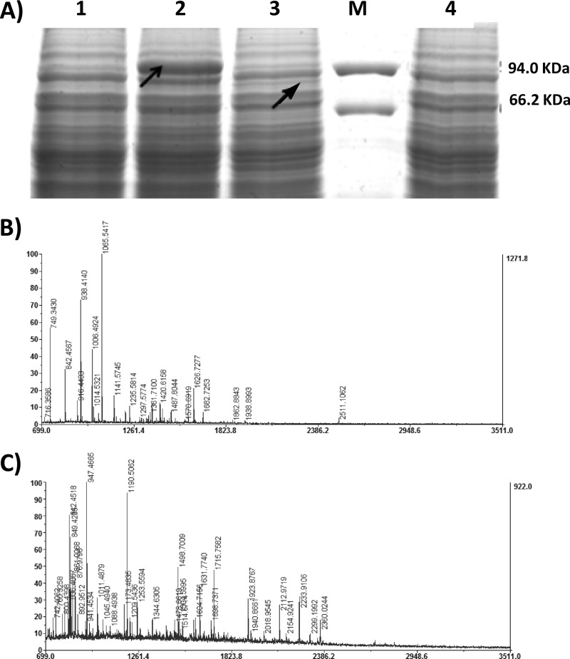 Fig 2