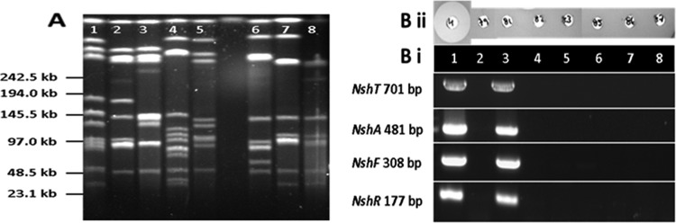 FIG 5