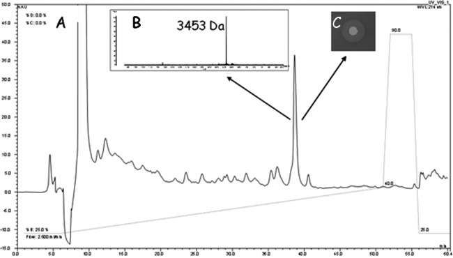 FIG 3