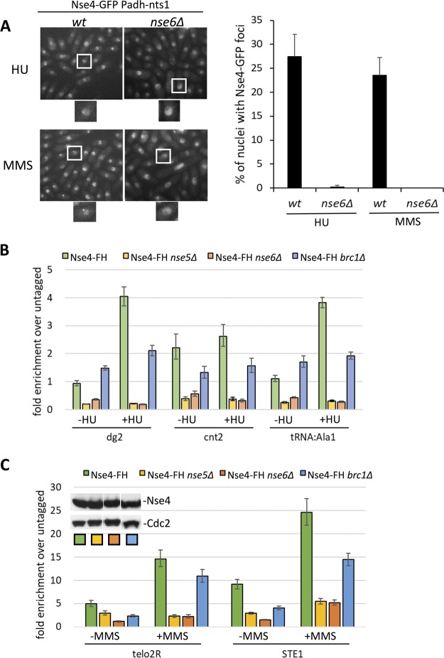 FIG 3