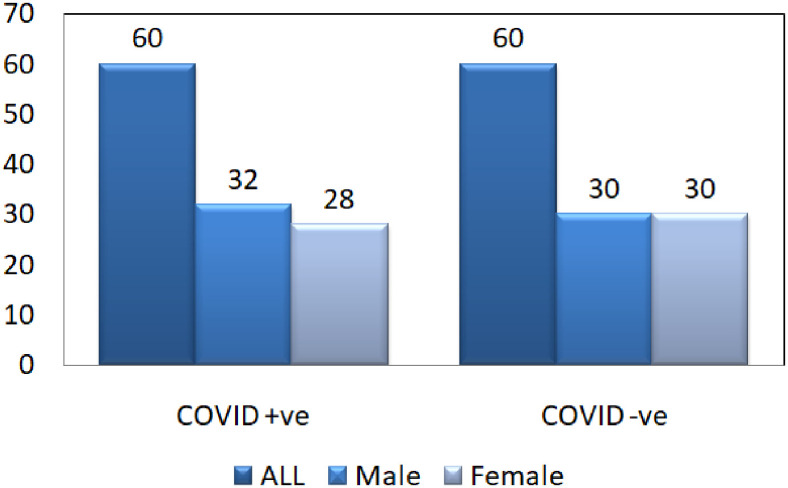 Fig. 2.