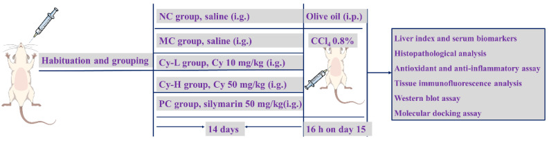 Scheme 1