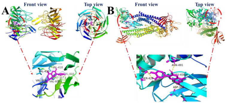 Figure 7