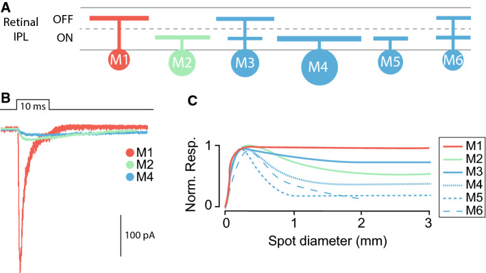 Fig. 2