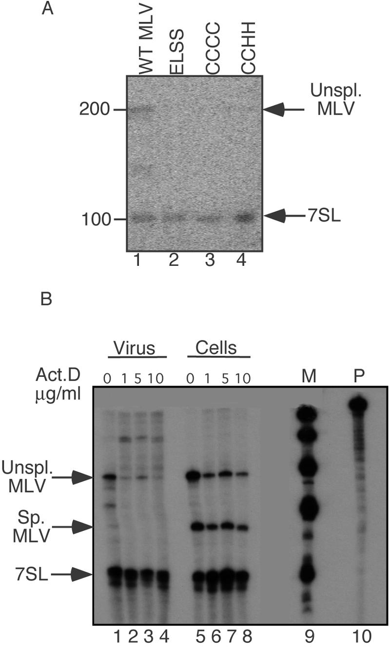 FIG. 3.